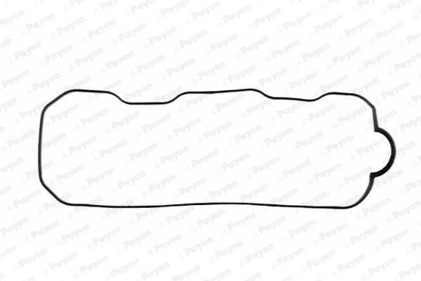 Payen Kleppendekselpakking JN634