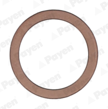 Payen Afdichtring KG5217