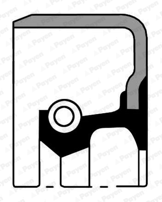 Payen Wielnaaf keerring NF036