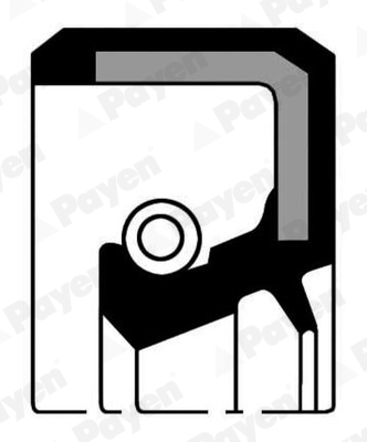 Payen Nokkenas keerring NF808