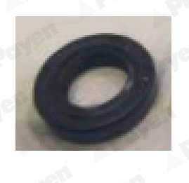 Payen Dichtingsring NJ621