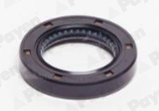 Payen Dichtingsring NJ713