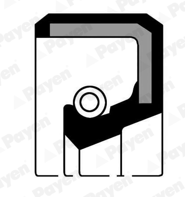 Payen Dichtingsring NJ806