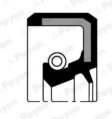 Payen Dichtingsring NJ986