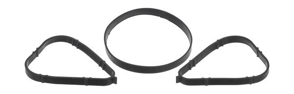 Payen Pakkingset, inlaatspruitstuk HA5076