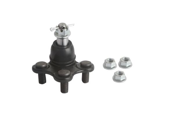 Moog Fuseekogel HO-BJ-18441