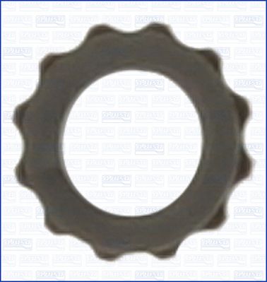 Ajusa Pakking/ Afdichting 00897300