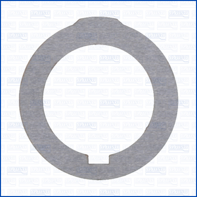 Ajusa Pakking, verdeeldifferentieel 01442200