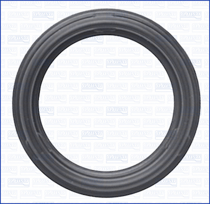 Ajusa Afdichtring, verstuiverschacht 01486100