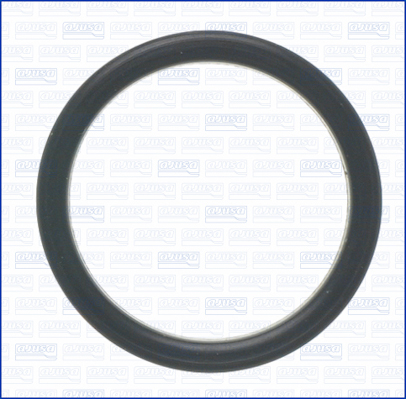 Ajusa Pakking, waterpomp 01495000