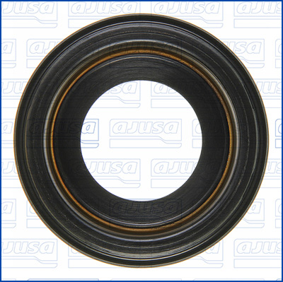 Ajusa Afdichtring, verstuiverschacht 01646700