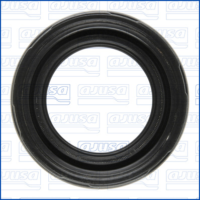 Ajusa Afdichtring, verstuiverschacht 01811300