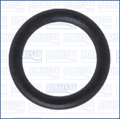 Ajusa Dichtring, laadluchtslang 16009000