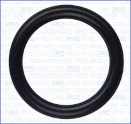 Ajusa Inlaatspruitstukpakking 16076100