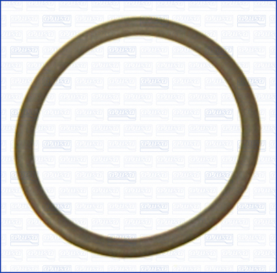 Ajusa Afdichtring, olieuitloop (turbolader) 16103100