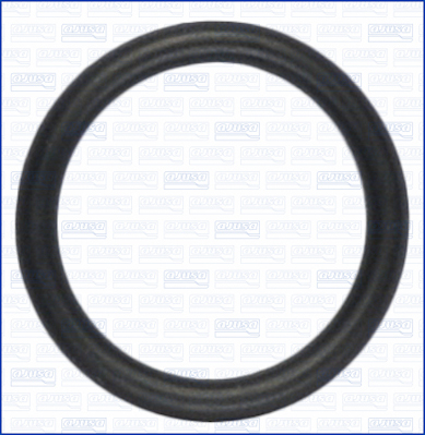 Ajusa Dichtring, verstuiverhouder 16116100