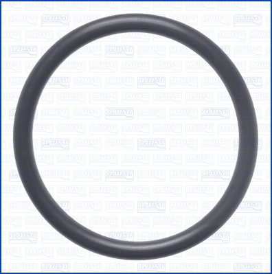 Ajusa Pakking, thermostaat 16133100