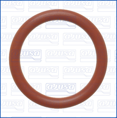 Ajusa Afdichtring, zuigbuis (oliepomp) 16554000