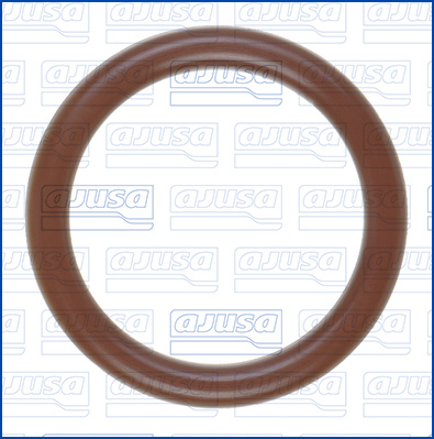 Ajusa Dichtring, leiding EGR-klep 16570500