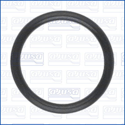 Ajusa Afdichtring, wateraansluiting (turbolader) 16571100
