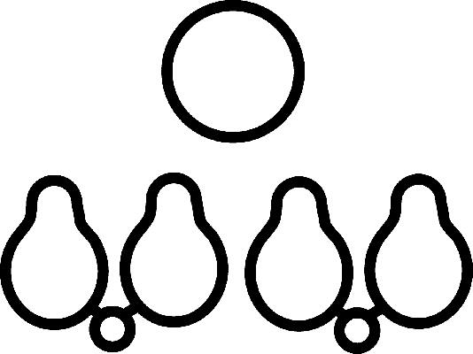 Corteco Inlaatspruitstukpakking 023244H