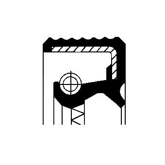 Corteco Brandstofpomp pakking 49418398