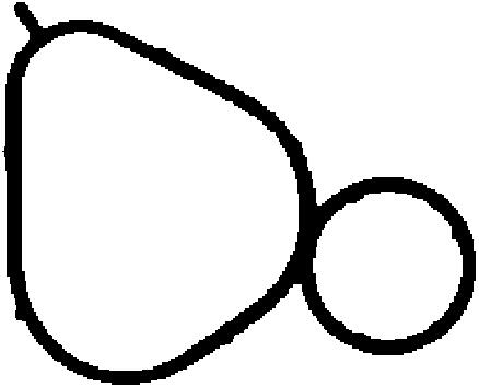 Corteco Inlaatspruitstukpakking 450263P