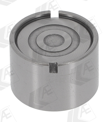 AE Klepstoter FOL263