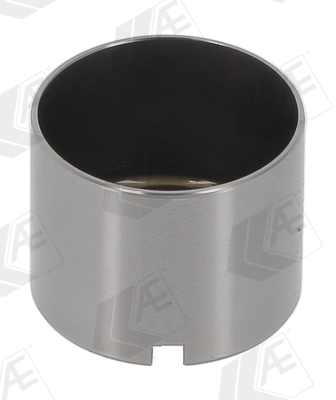 AE Klepstoter FOL311