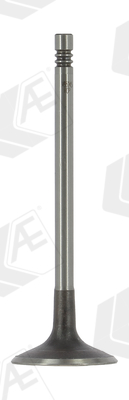 AE Inlaatklep V95245