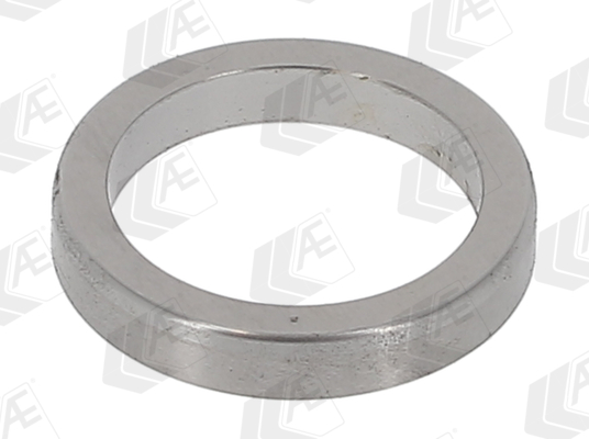 AE Klepzittingring VS6604