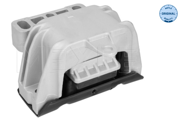 Meyle Motorsteun 100 199 0242