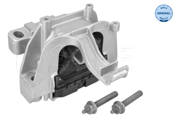 Meyle Motorsteun 100 199 0284