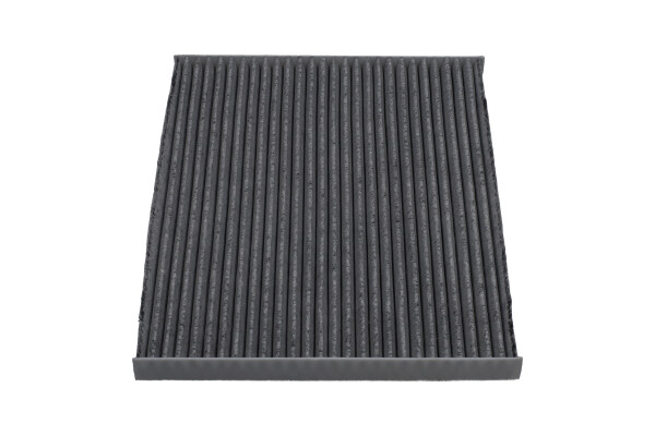 AMC Filter Interieurfilter FCA-10169C