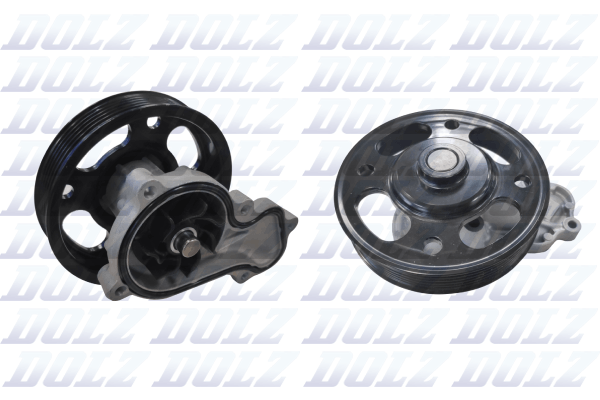Dolz Waterpomp H265