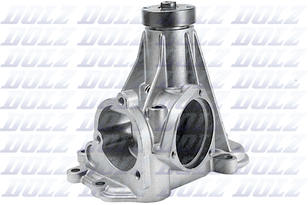 Dolz Waterpomp M196