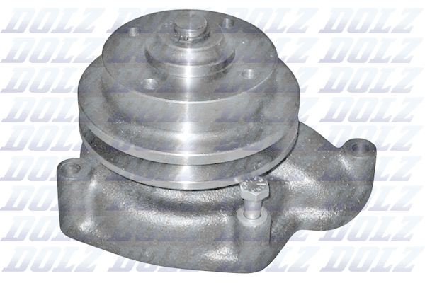 Dolz Waterpomp, aandrijfaccu P303