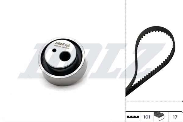 Dolz Distributieriem kit SKD028