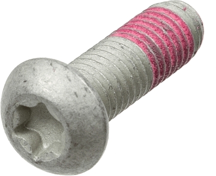 TRW Remschijfschroef MSS113-5