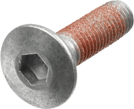 TRW Remschijfschroef MSS125-5