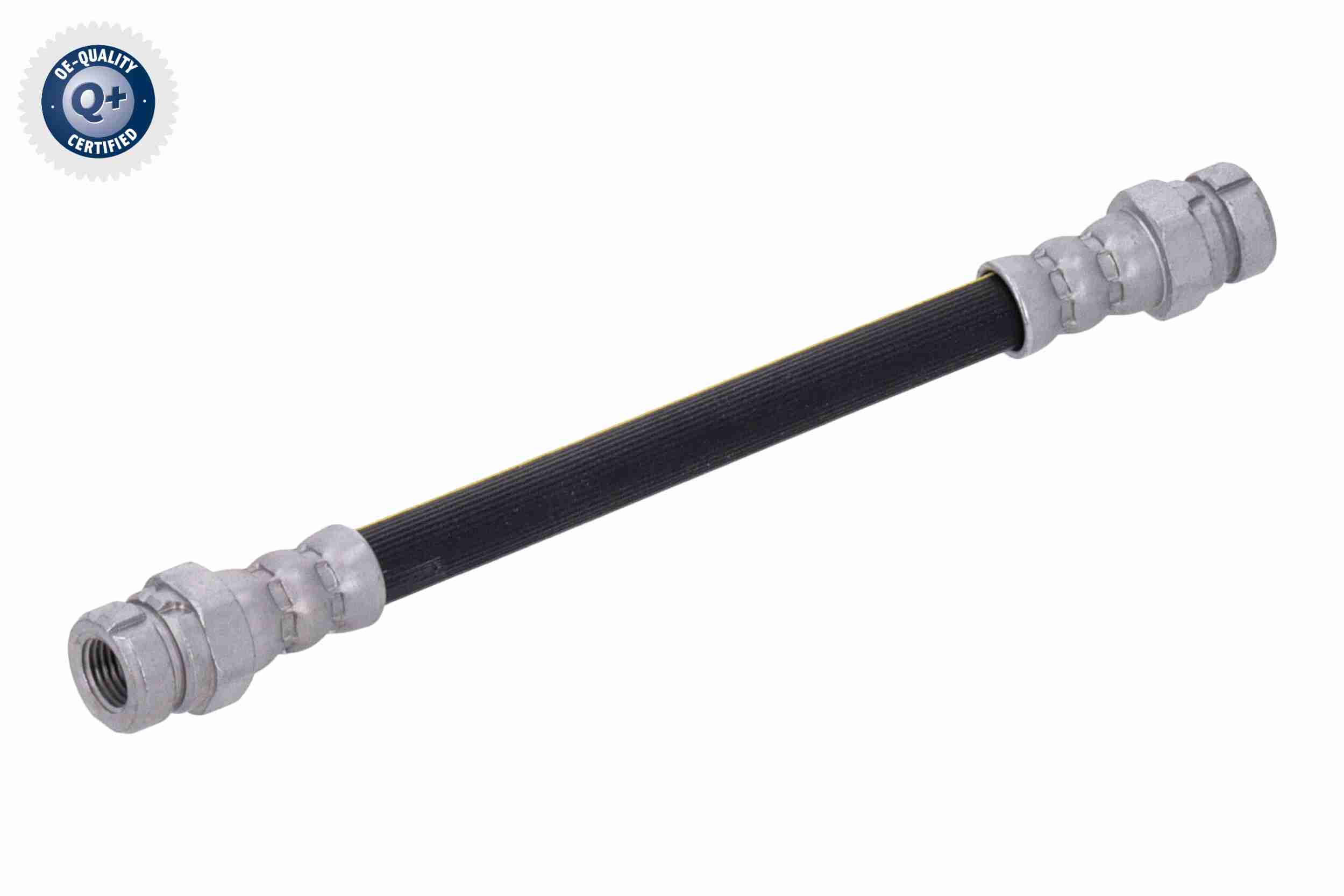 Vaico Remslang V10-7970