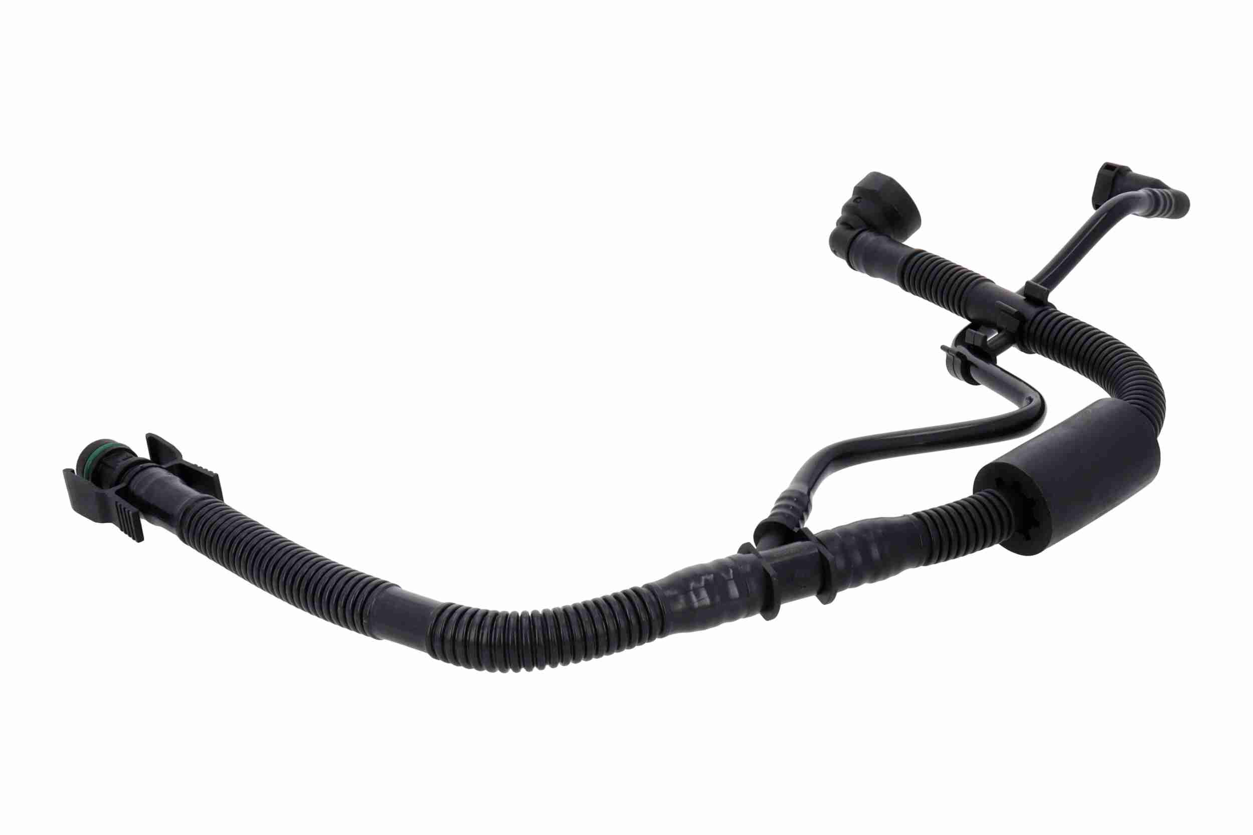 Vaico Olieslang V22-1302