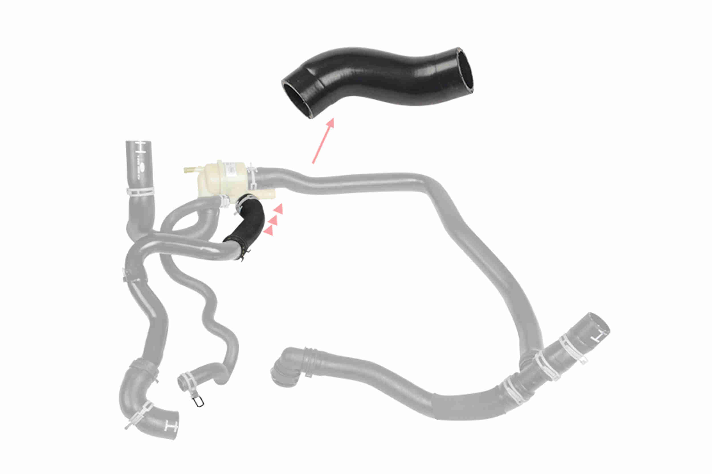 Vaico Radiateurslang V48-0582