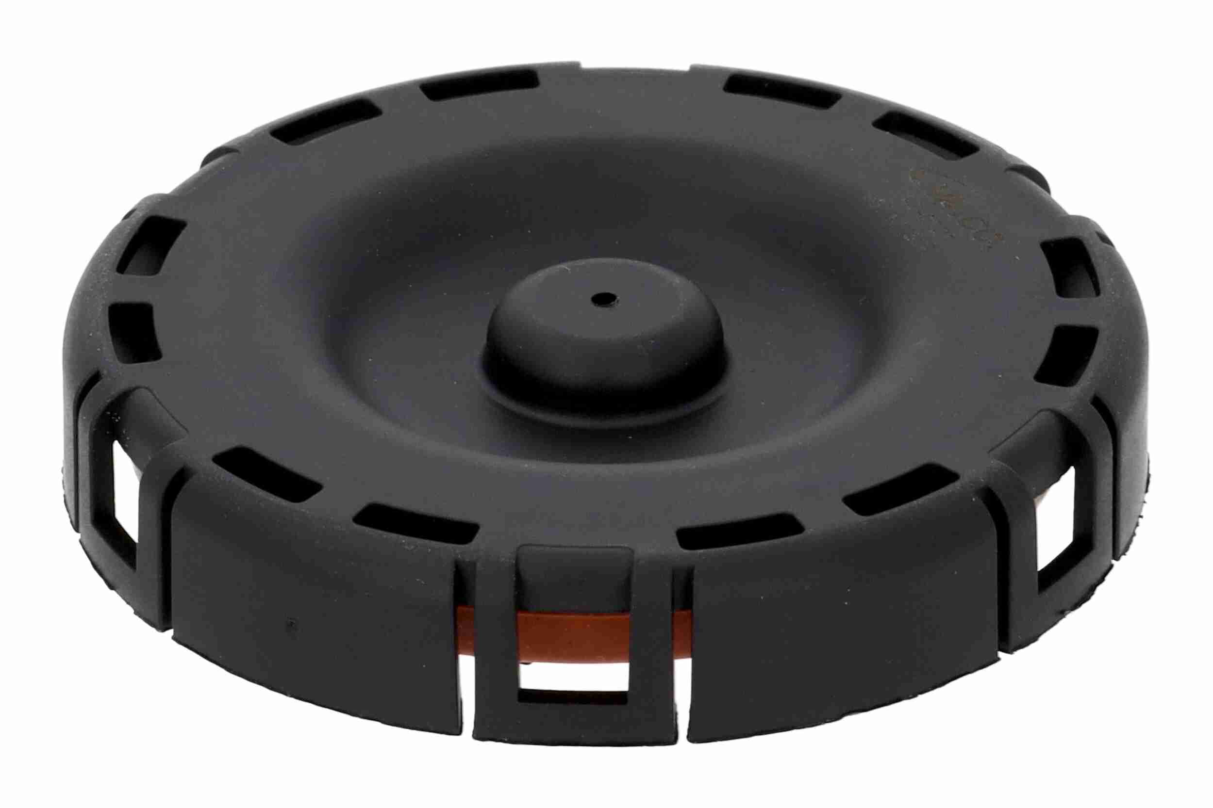 Vaico Klep, ontluchting nokkenasbehuizing V48-0721