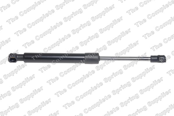 Lesjöfors Gasveer, kofferruimte 8195077