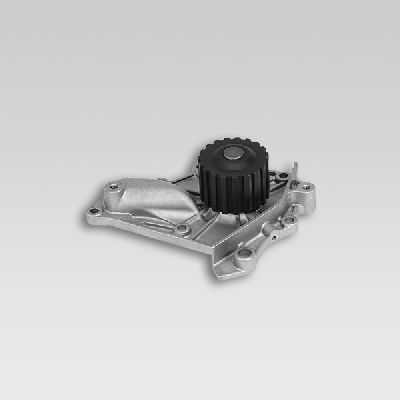 Hepu Waterpomp P721