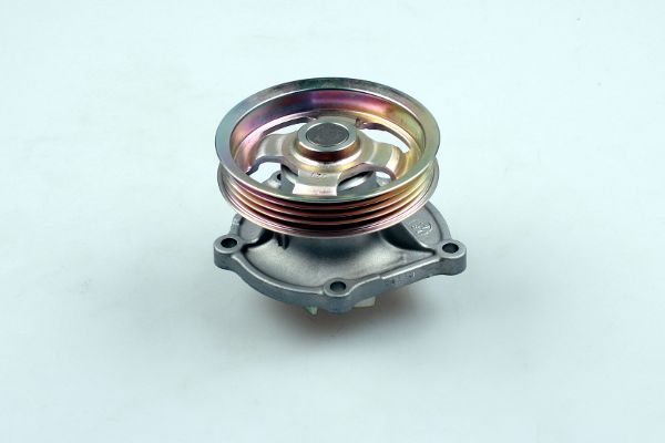 Hepu Waterpomp P7525