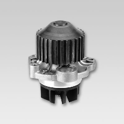 Hepu Waterpomp P802