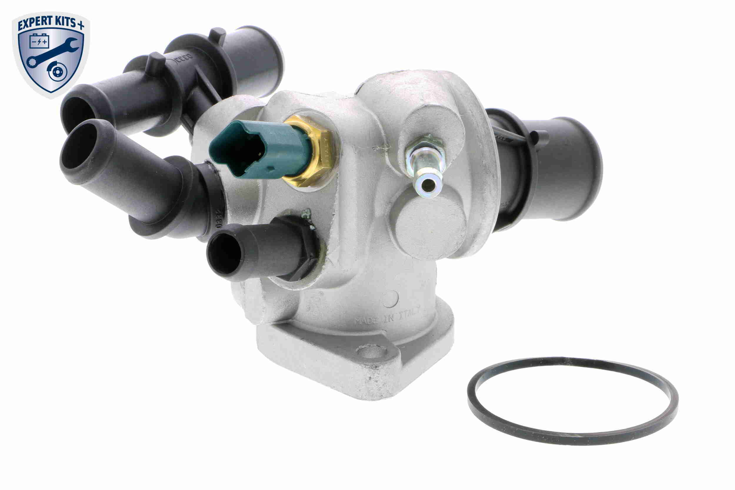 Vemo Thermostaathuis V24-99-1265