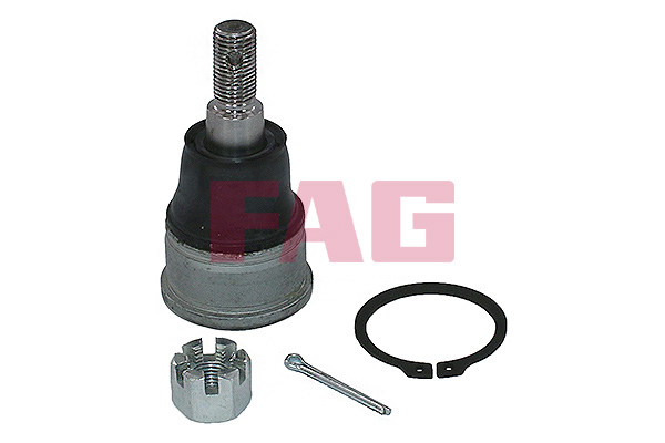 FAG Fuseekogel 825 0424 10